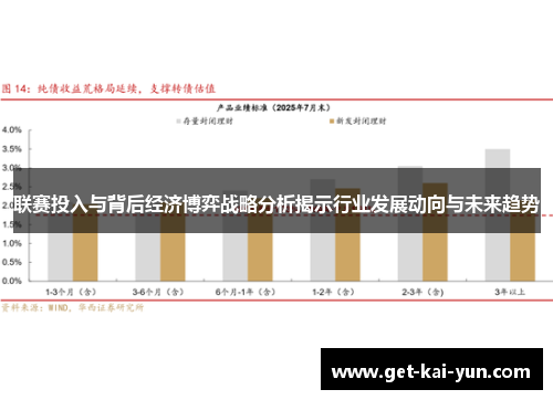 联赛投入与背后经济博弈战略分析揭示行业发展动向与未来趋势