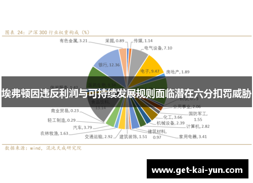 埃弗顿因违反利润与可持续发展规则面临潜在六分扣罚威胁 埃弗顿因违反利润与可持续发展规则面临潜在六分扣罚威胁